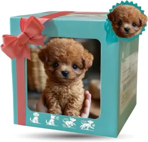 2025 New AI Robot Dog, Robot Puppy That Acts Like a Real Puppy, Ai Robotic Dog, Walking, Barking, Tail Wagging (Dog-D)