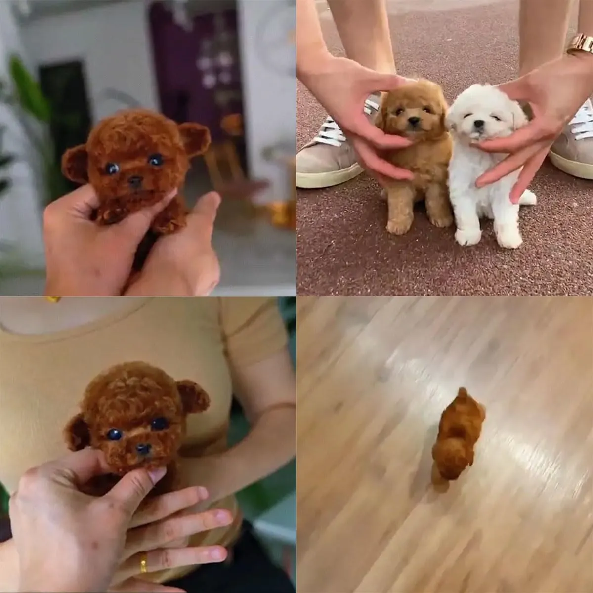 2025 New Robot Dog for Adults, AI Robotic Dog, Nicoo - My Realistic Robot Puppy That Acts Like a Real Puppy - Walking, Barking, Tail Wagging (Set A)