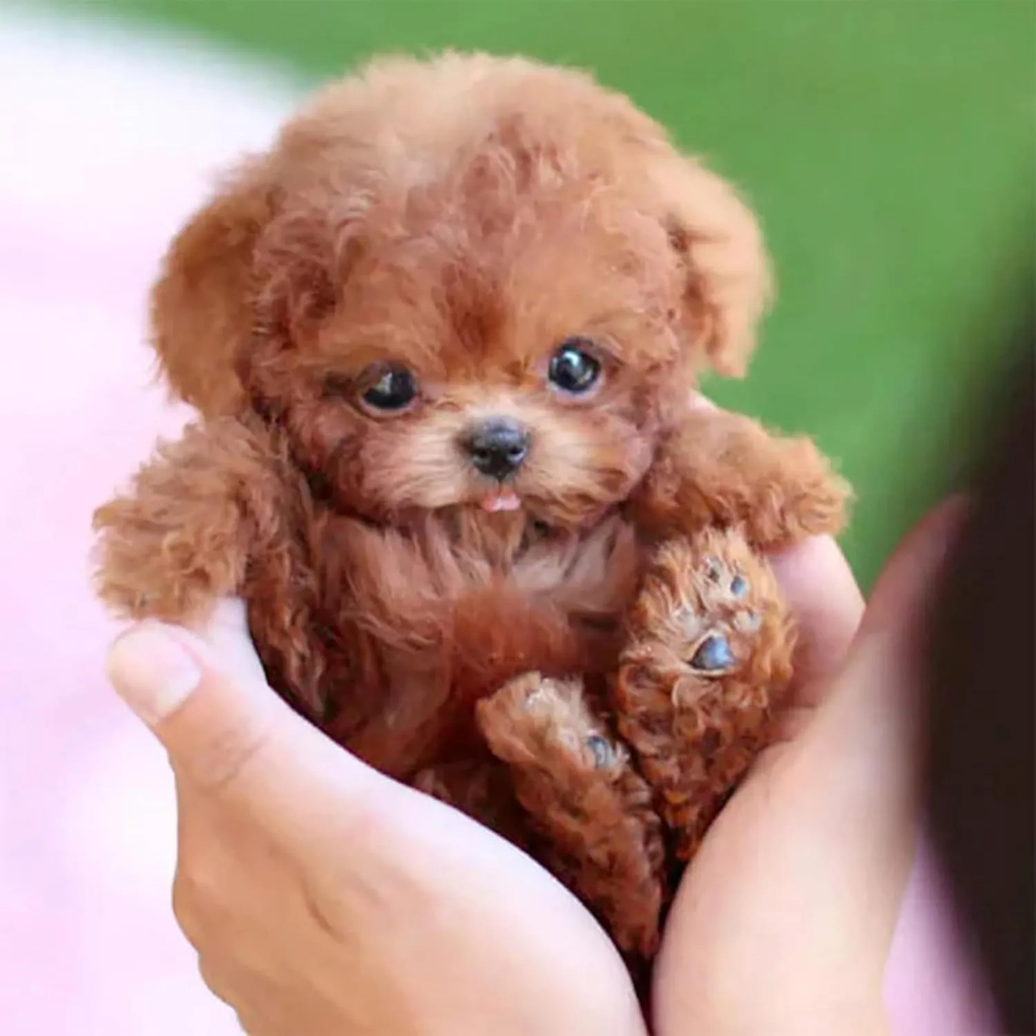 2025 New Robot Dog That Acts Like a Real Dog, Ai Robot Dog, That Moves Jumping, Twitching, and Shaking Ears, Handmade, Interactive Fun (Pink)
