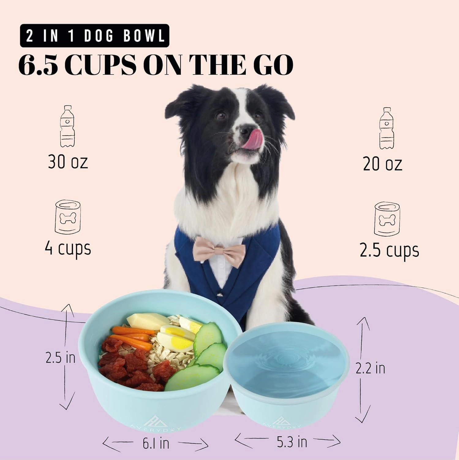 50 Oz Travel Dog Bowls with Lids, 2-in-1 Portable Pet Bowls for Food and Water, Leakproof Travel Dog Food & Water Bowl for Outdoor, Camping, Travel Dog Feeding Bowl, Daycare Pet Bowls