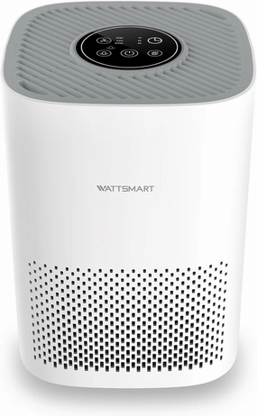 Clearance Air Purifier for Home - H13 True HEPA Filter for Home Pets Hair, Remove 99.97% Smoke Pollen Dander Dust, Portable Air Cleaner with 22dB Quiet Sleep Mode for Bedroom Small Place, White