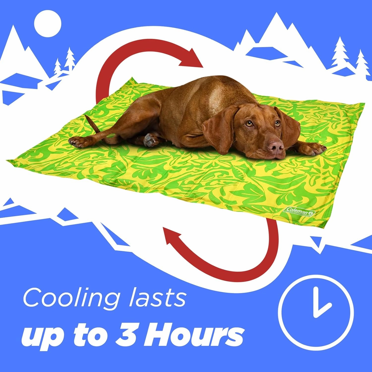 Coleman Medium Green Botanical Pattern Reversible Cooling Mat – 24” x 30”