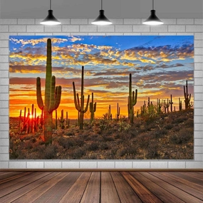 Desert Scenery Backdrop Cactus Photography Backdrops Desert Sunset Photo Backdrop Tourist Scenery Photo Backdrop Curtains (9X6FT)