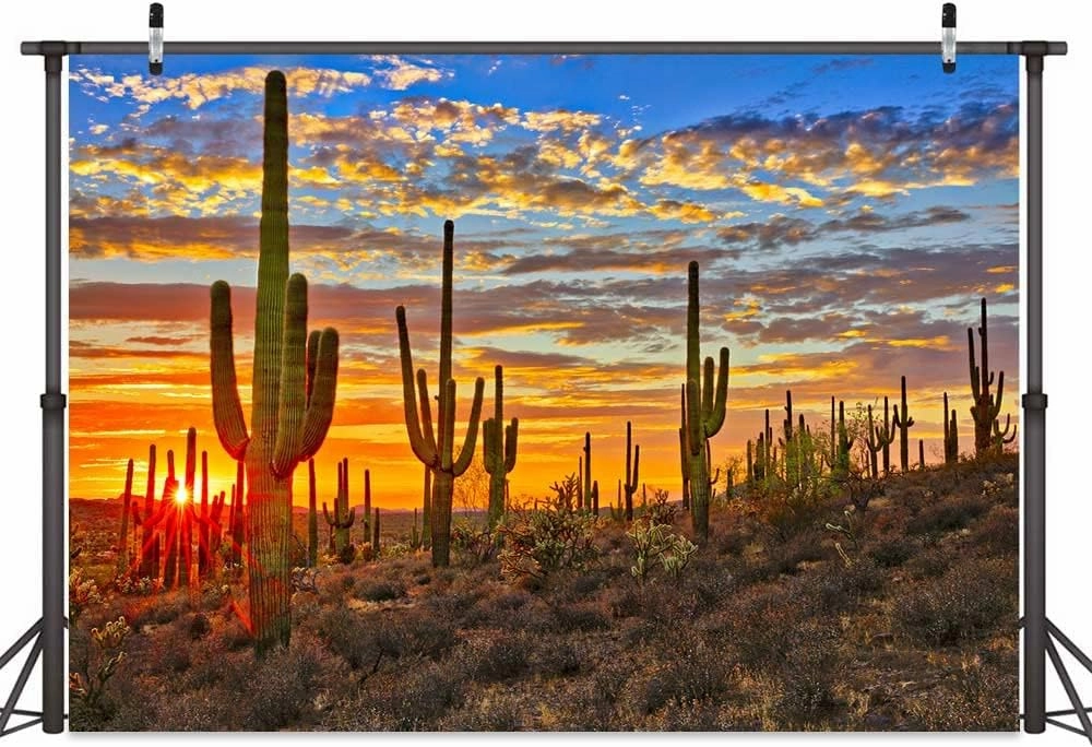 Desert Scenery Backdrop Cactus Photography Backdrops Desert Sunset Photo Backdrop Tourist Scenery Photo Backdrop Curtains (9X6FT)