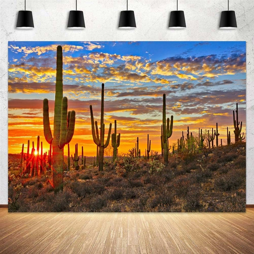 Desert Scenery Backdrop Cactus Photography Backdrops Desert Sunset Photo Backdrop Tourist Scenery Photo Backdrop Curtains (9X6FT)