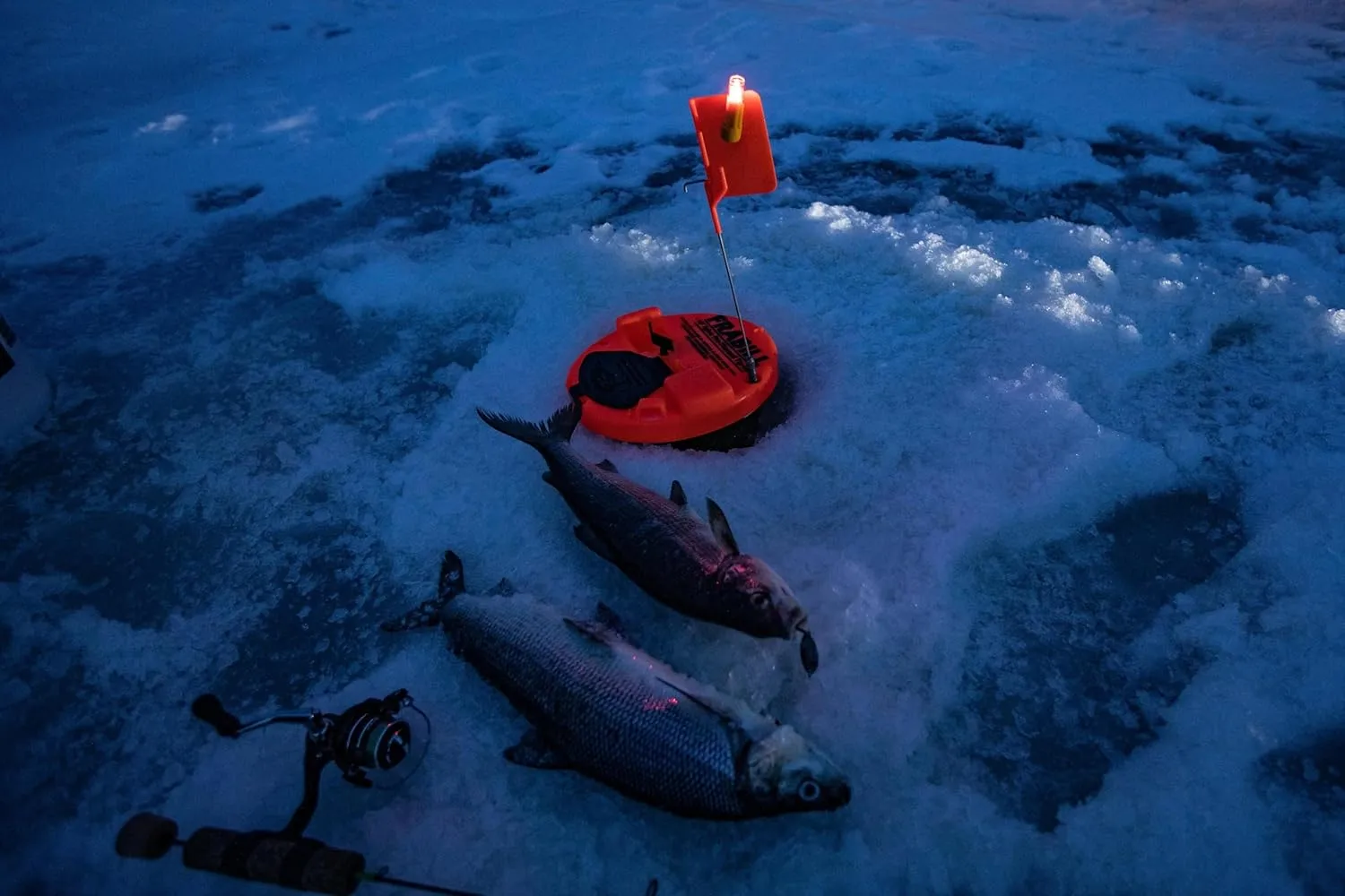 Frabill Ice Fishing Tip-Ups