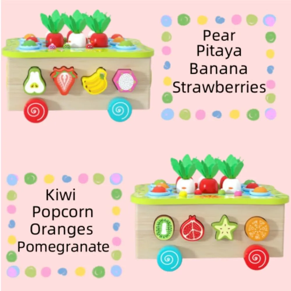 Fruit Cognition Shape Matching, Fish Pond Fruit & Vegetable Car, Multi-Functional Learning Games for 3 4 5 6 7 8 Year Olds,Magnetic Fishing Game for Toddlers 3-8,Children's Day Gift