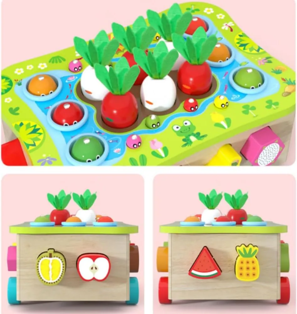 Fruit Cognition Shape Matching, Fish Pond Fruit & Vegetable Car, Multi-Functional Learning Games for 3 4 5 6 7 8 Year Olds,Magnetic Fishing Game for Toddlers 3-8,Children's Day Gift