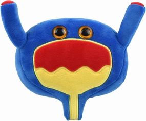 GIANTmicrobes Bladder Plushie, Urology Gifts, Bladder Gift, Urology Gifts Funny, Prostate Cancer Awareness, Urologist Doctor Gift, UTI, Bladder Health