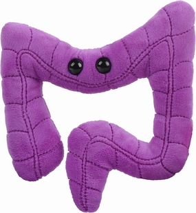 GIANTmicrobes Colon Plush, Colonoscopy Gift, Funny Colon Gifts, Colorectal Cancer Awareness, Gastroenterologist Gifts, Guts Plush Toy