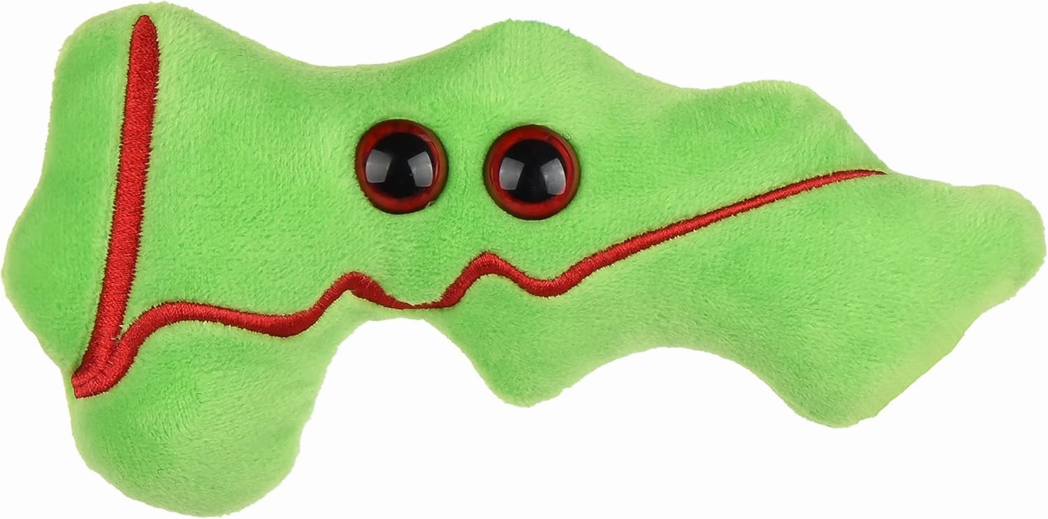 GIANTmicrobes Pancreas Plush, Pancreas Stuffed Toy, Pancreatic Cancer Awareness, Funny Diabetic Gifts, Diaversary Gift, Diabetes Gift, Endocrinology Gifts