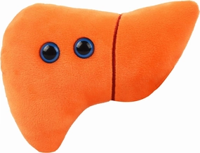 GIANTmicrobes Stuffed Liver Plush, Liver Stuffed Animal, Anatomical Liver, Hepatologist Gift, Liver Transplant Gifts, Hepatitis Gift, Hepatology Gift, Cirrhosis Gift, Liver Pillow, Liver Donor Gift
