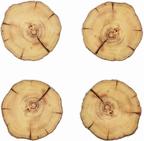 Kim Seybert Woodland Drink Coasters in Natural & Brown, Set of 4