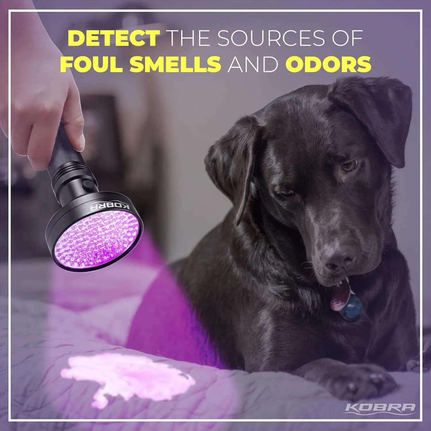 Kobra UV Black Light Flashlight - 128 LED Portable UV Light & Black Light for Pet Urine Detection - Home or Hotel Bed Bugs, Leaks & Counterfeit Money Inspection - 23W, 390-395mm (Black)