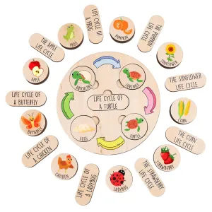 Life Cycle Toys for Kids, 10 Themes Montessori Preschool Learning Activities, Wooden Learning & Educational Toys Age 3-6, Classroom must haves