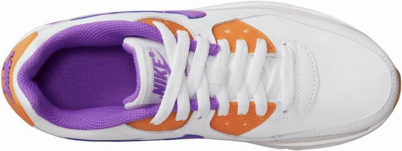 Nike Air Max 90 LTR (Big Kid)