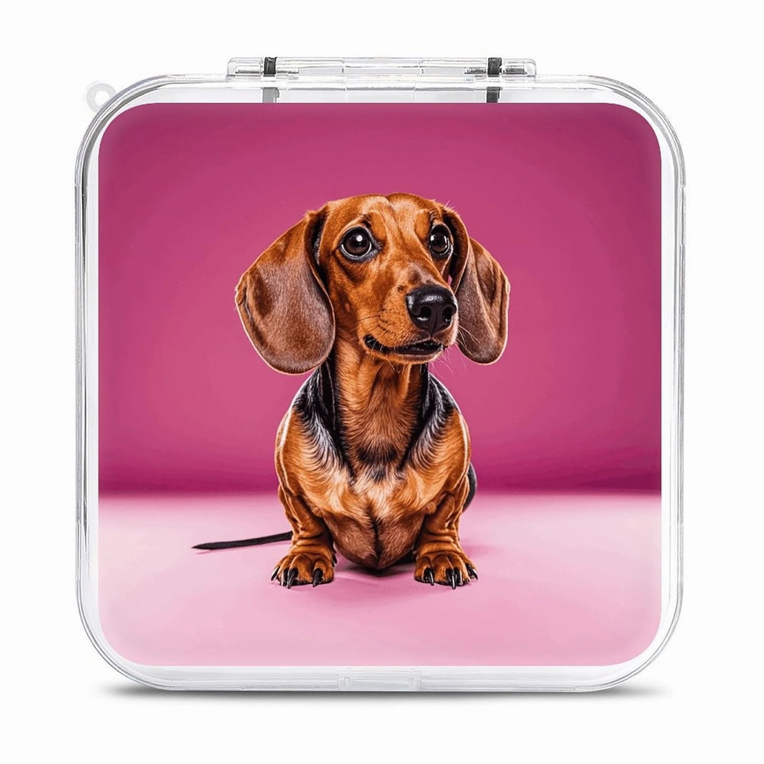 QMNBTES Dachshund Weiner Dog Switch Game Case Switch Game Holder Cartridge Case Storage 12 Games & 2 Micro Sd Card Slots, Travel Carry Cases, Portable Games Card Storage, Hard Shell, Buckle Closure
