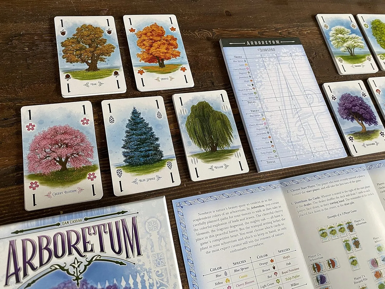 Renegade Game Studios Arboretum Strategy Card Game that Challenges 2-4 Players Aged 8 & Up to Create the Most Beautiful Garden (packaging may vary)