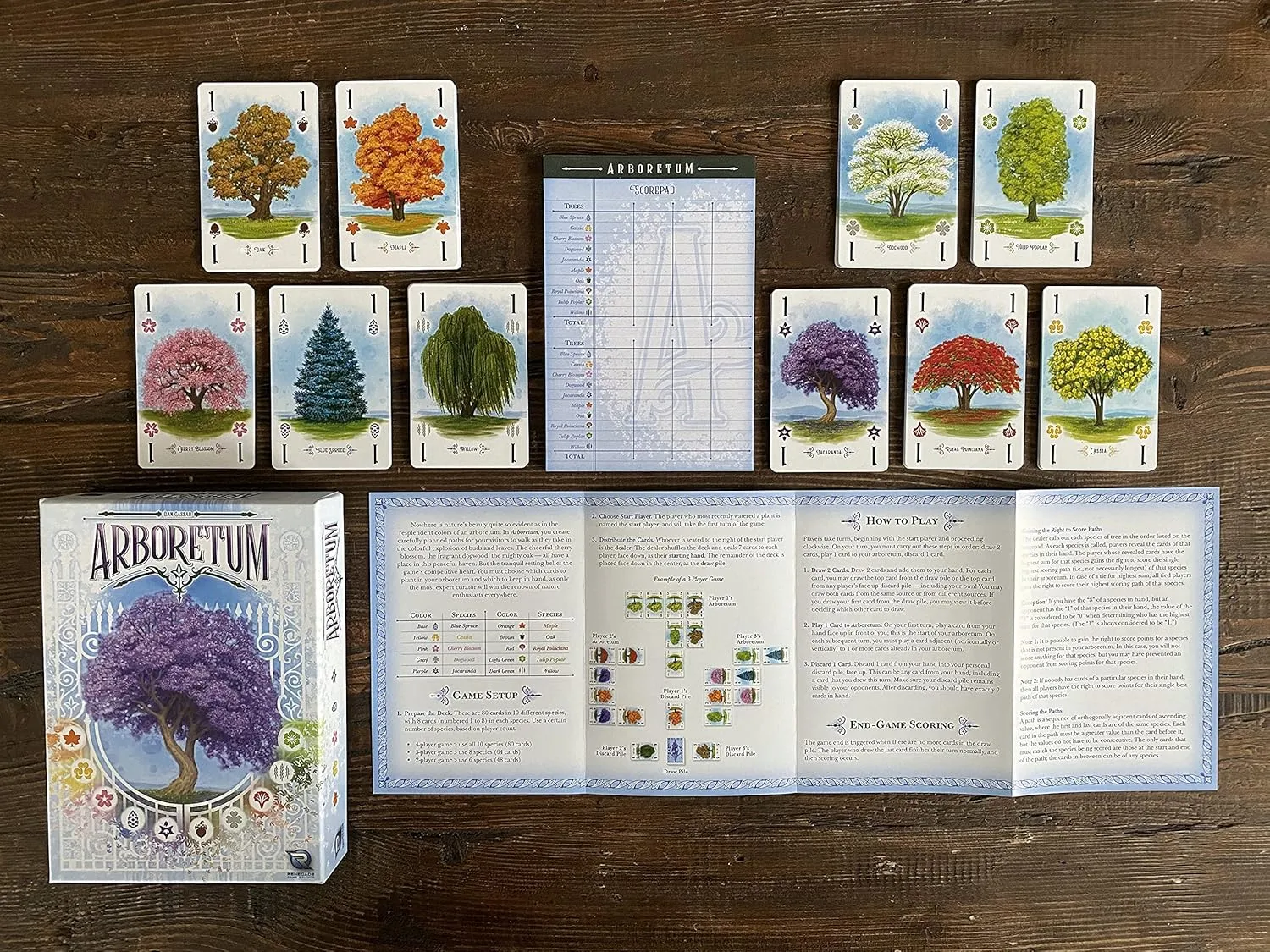 Renegade Game Studios Arboretum Strategy Card Game that Challenges 2-4 Players Aged 8 & Up to Create the Most Beautiful Garden (packaging may vary)