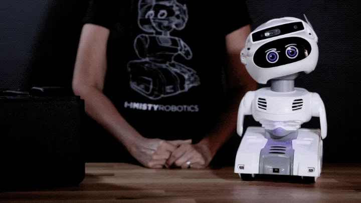 Royaleva Pocket RC Robot - Interactive Mini Toy with Dance, Sing, Talk Features