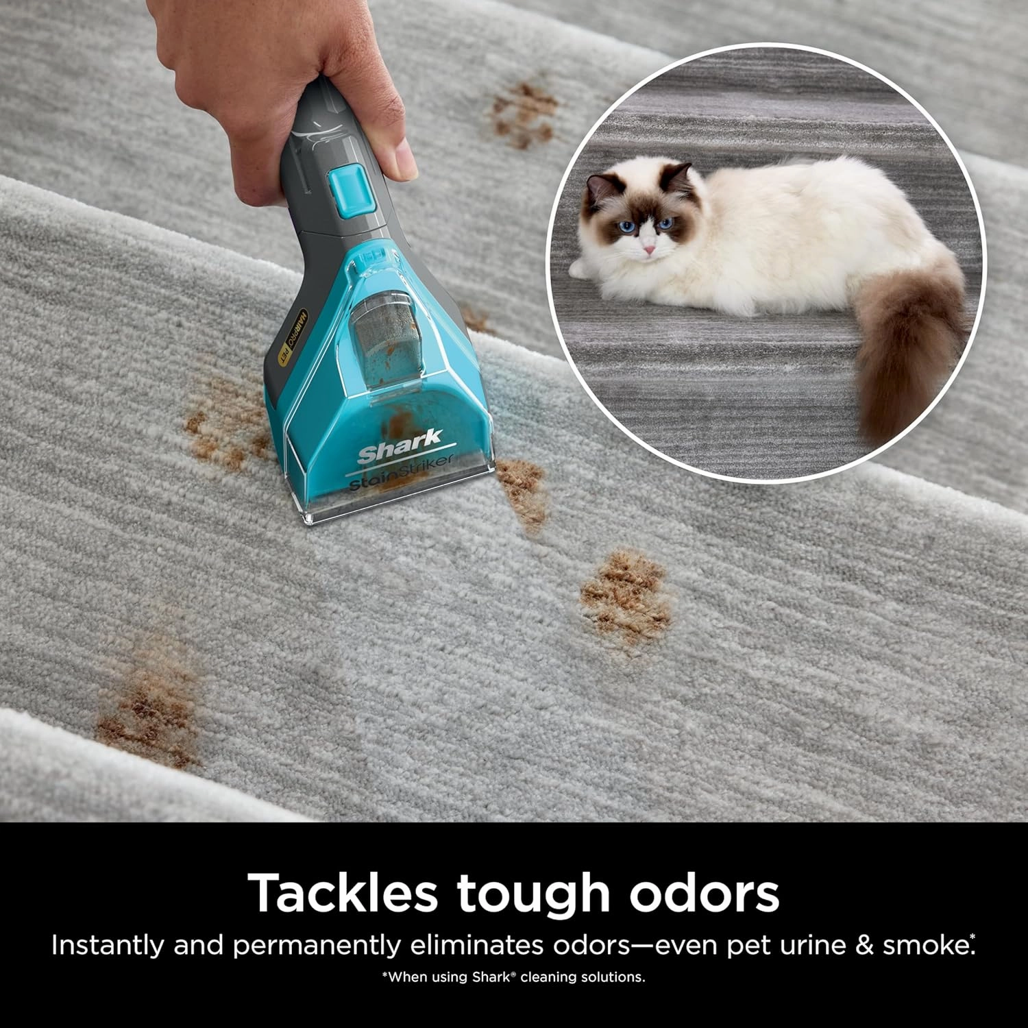 Shark CarpetXpert Deep Clean Pro Formula for All Shark Upright & Portable Carpet Cleaners, Formulated for all Carpets, Upholstery & Area Rugs, Eliminates Tough Pet Messes and Odors, 48oz, EXCM48