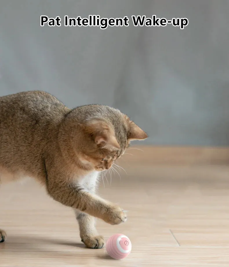 Smart Rolling Interactive Cat Ball – Automatic Fun & Exercise!