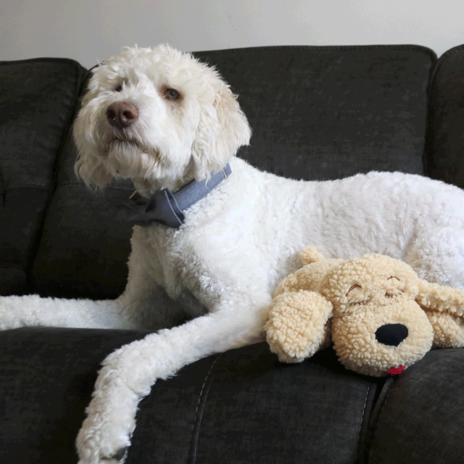 Snuggle Puppy Plus Dog Toys with 3 Heat Packs & New Motion Activated RealFeel Heartbeat - Dog Anxiety Relief, Calming Aid, and Comfort Toy for Behavioral Training