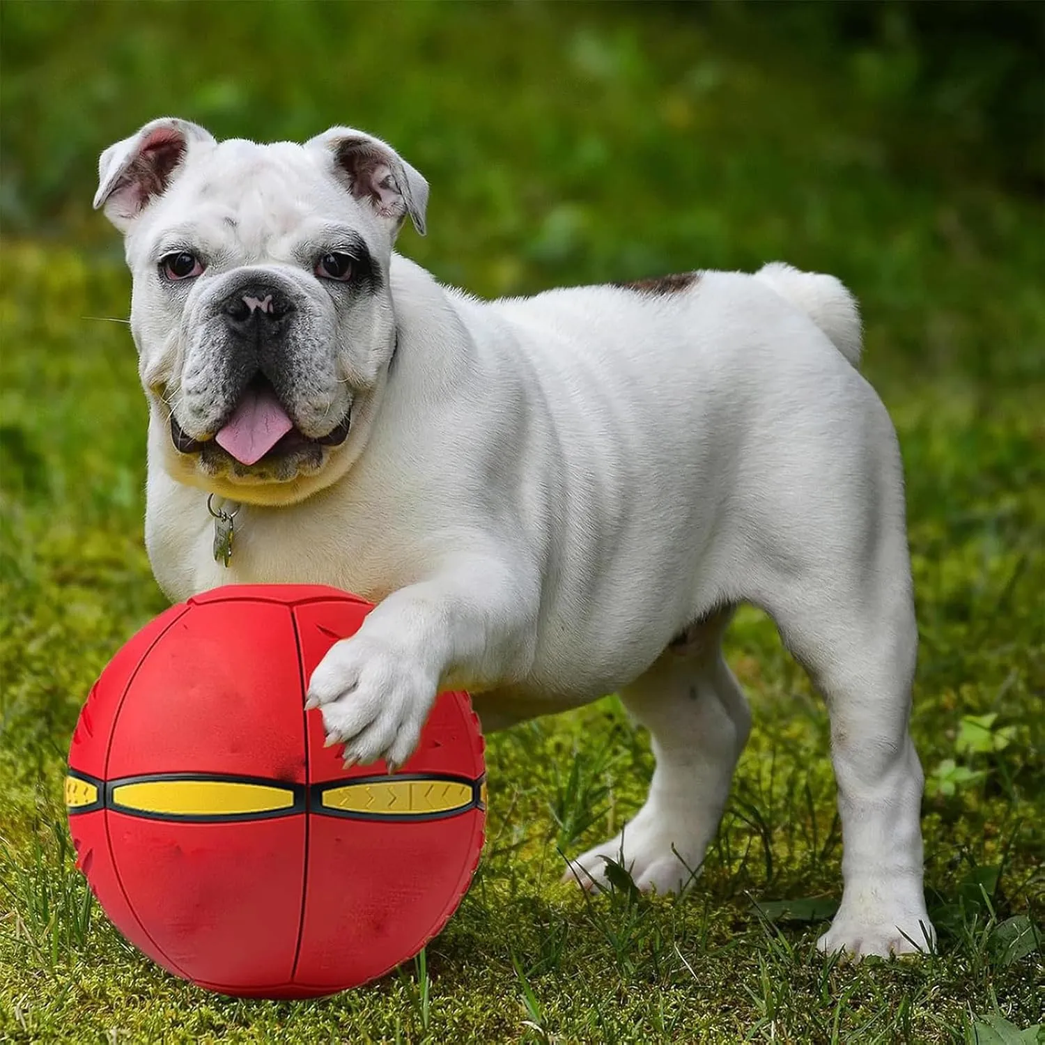 The Doggy Disc Ball, Ancientflow Dog Toy, Ancienflow, Doggie Disc Ball for Small Medium Large Dogs, Doggie Disk Ball with Lights, Portable Pet Toy Doggie Flying Saucer (Blue, No Light)