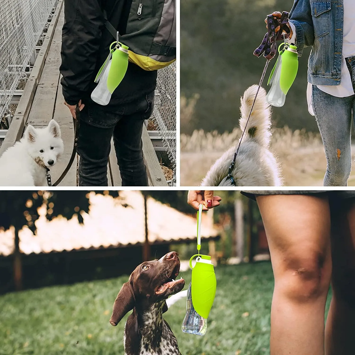 The Wanderpaws Portable Pet Hydration Station by Dog Hugs Cat