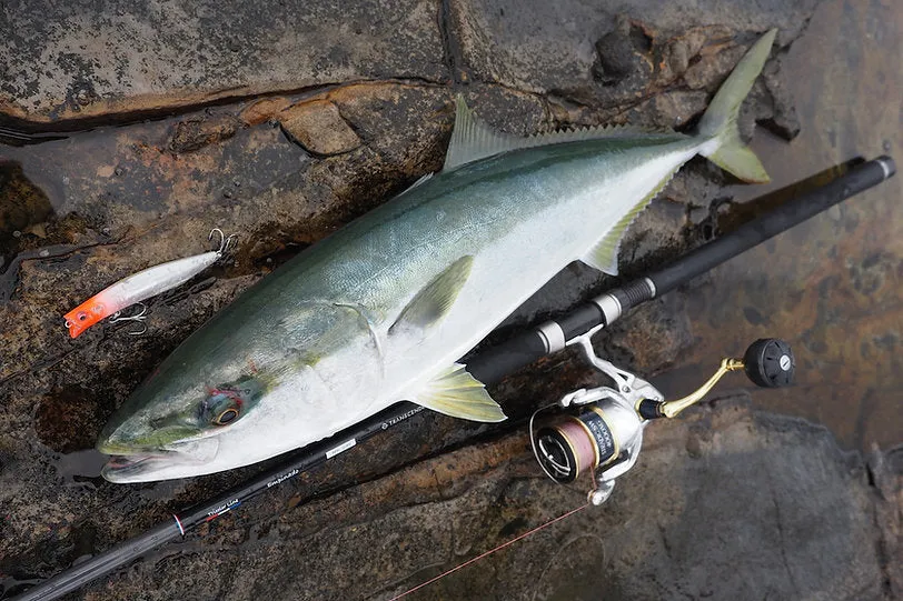 TRANSCENDENCE Rocky Shore Pack Rod Empinado91S  Rev2