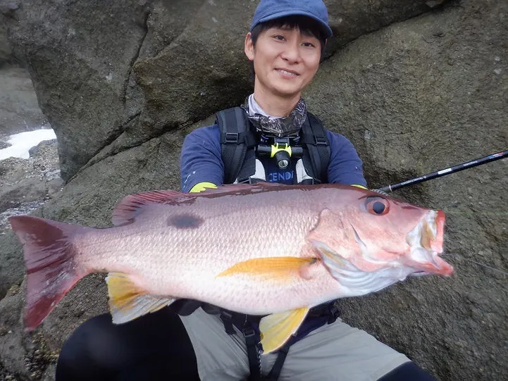 TRANSCENDENCE Rocky Shore Pack Rod Empinado91S  Rev2