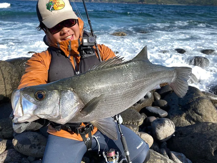 TRANSCENDENCE Rocky Shore Pack Rod Empinado91S  Rev2